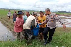 Petani di Aceh Timur Ditemukan Meninggal di Sawah