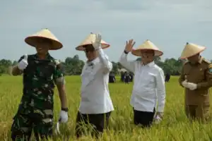 Bertemu Wamentan, Petani Abdya Curhat Soal Traktor Hingga Pupuk Subsidi