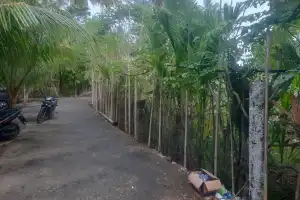 Kabel Listrik Milik PLN di Aceh Selatan Ancam Keselamatan Warga