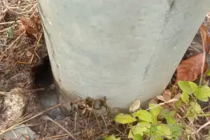 Heboh, Air Panas Berbau Belerang Muncul di Depan Gedung Uji Kir Aceh Selatan