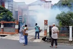 35 Kasus DBD Selama 2022, Puskesmas di Aceh Barat Fogging Rumah Warga