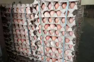 Harga Telur Ayam di Aceh Barat Naik Rp 54 Ribu Per Papan