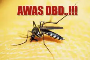 Waspada! Dinkes Aceh Barat Catat 37 Kasus DBD Pada 2022