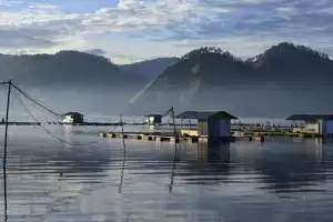 Sektor Pariwisata Aceh Alami Pertumbuhan