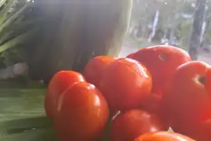 Jelang Nataru, Harga Sayuran di Aceh Tamiang Melonjak