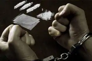 Seorang Pengedar Sabu di Pidie Ditangkap Polisi