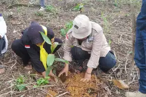 Cegah Deforestasi, LPKEL Lakukan Penanaman Pohon di Hutan Agara