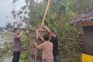 Tiang Telkom dan Pohon Besar di Aceh Utara Tumbang