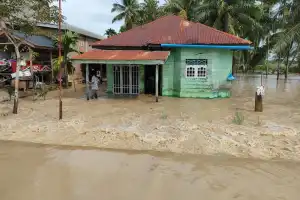 Ratusan Hektare Sawah di Aceh Utara Terendam Banjir