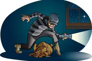 Sepekan Terakhir, Polisi Tangkap 6 Pelaku Kasus Pencurian di Pidie