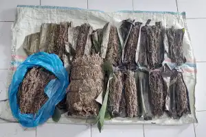 Diduga Terlibat Narkoba, Warga Bener Meriah Ditangkap Polisi Aceh Tengah