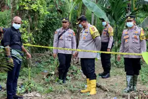 Polisi Selidiki Kematian Gajah di Pidie Jaya