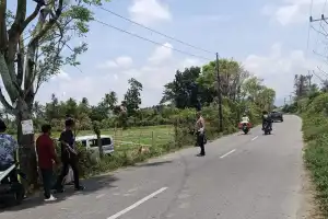 Pecah Ban, Mobil Gran Max Terjun ke Sawah di Pidie