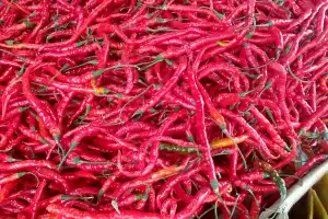 Harga Cabai Merah di Bener Meriah Capai Rp60 Ribu