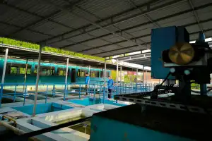 Foto: Produksi Air di PDAM Tirta Daroy Berkurang Akibat Kemarau