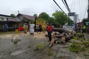 Akses Jalan T. Iskandar Lambhuk Kembali Normal Usai Pohon Tumbang Melintang Dibersihkan
